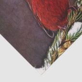 Papier Mousseline Cardinal et Pinecones (Détail)