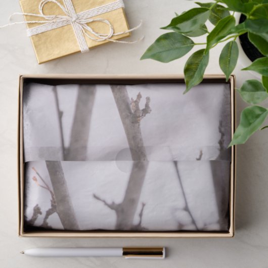 Papier Mousseline Cardinal Féminin En Hiver (Cadeau)