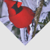 Papier Mousseline Cardinal rouge d'hiver (Détail)