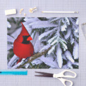 Papier Mousseline Cardinal rouge d'hiver (Artisanat)