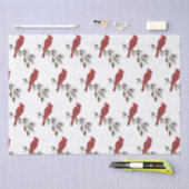 Papier Mousseline Cardinaux de Noël (Artisanat)