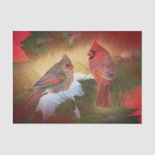 Papier Mousseline Cardinaux de Noël (Recto)