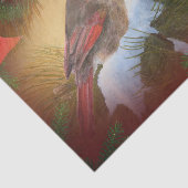 Papier Mousseline Cardinaux de Noël (Détail)