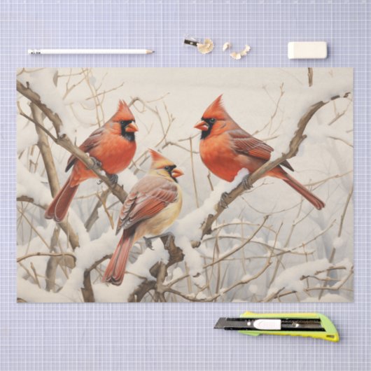 Papier Mousseline Cardinaux d'hiver (Artisanat)