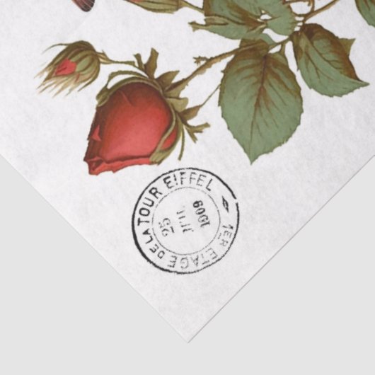 Papier Mousseline Cardinaux rouges Papier Tissu Clipart (Détail)