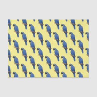 Papier Mousseline Caricature d'oiseau macaw Hyacinth
