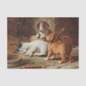Papier Mousseline Carl Reichert réveille les chiots (Recto)