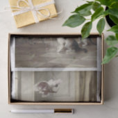 Papier Mousseline Carl Richert | Chats Kittens Parrot Bird (Cadeau)