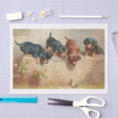 Papier Mousseline Carl Richert | Chiots Et Grenouilles Dachshund (Artisanat)