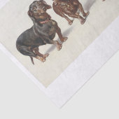 Papier Mousseline Carl Richert | Dachshund Chiens Peinture à l'huile (Détail)