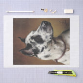 Papier Mousseline Carl Richert | Grand Portrait de chien de Danse (Artisanat)