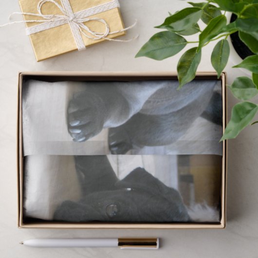 Papier Mousseline carlin noir plat (Cadeau)