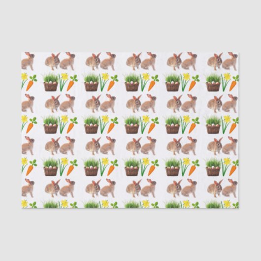 Papier Mousseline Carotte classique de Pâques de lapin Panier de vac (Recto)