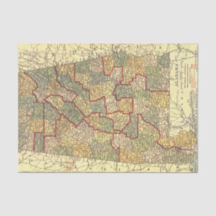 Papier Mousseline Carte Alabama vintage Districts du Congrès (1911)