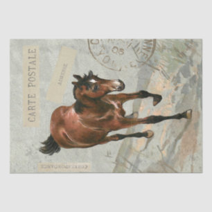 Papier Mousseline Carte Brown Horse Postale Découpage Vert Français