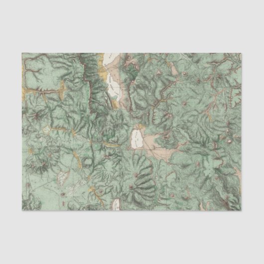 Papier Mousseline Carte de classification de terre du Nevada (Recto)