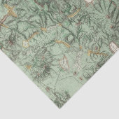 Papier Mousseline Carte de classification de terre du Nevada (Détail)