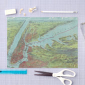 Papier Mousseline Carte de vue d'oeil d'oiseaux de New York et de (Artisanat)