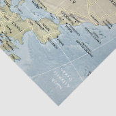 Papier Mousseline Carte du découpage africain (Détail)