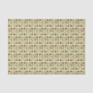 Papier Mousseline Carte du Monde Antique #4