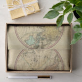 Papier Mousseline Carte du monde sur la projection globulaire (Cadeau)