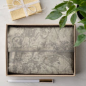 Papier Mousseline Carte du Paris antique (Cadeau)