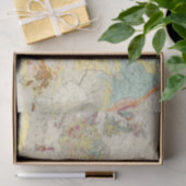 Papier Mousseline Carte géologique l'Europe (Cadeau)