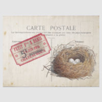 Carte Postale Bird Set 4 de 4 (Billet de nid d'ois