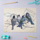 Papier Mousseline Carte Postale Bleu Boeuf Chickadee Français Postma (Artisanat)
