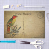 Papier Mousseline Carte postale française Ephemera Découpage Oiseaux (Artisanat)