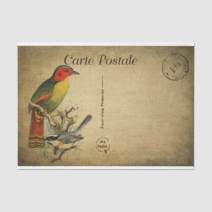 Papier Mousseline Carte postale française Ephemera Découpage Oiseaux