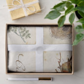 Papier Mousseline Carte Postale French Bird Nest and OEufs Set (Cadeau)