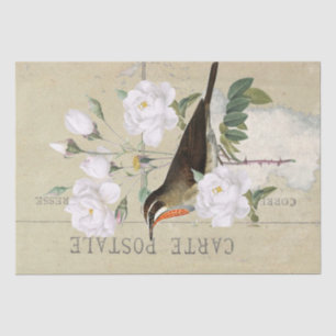 Papier Mousseline Carte Postale French Bird White Rose Decoupage