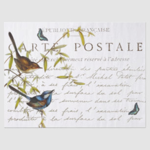 Papier Mousseline Carte Postale French Script Bird Butterfly Vintage