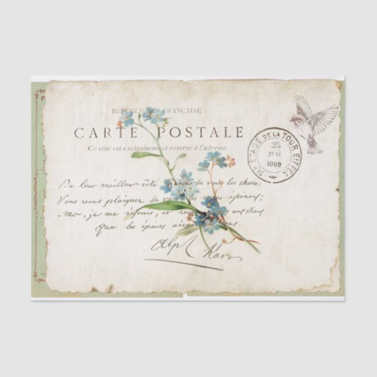 Papier Mousseline Carte Postale Oubliez-Moi Pas Français Script Bird (Recto)