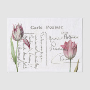 Papier Mousseline Carte postale Pink Tulip - Découpage Fleur