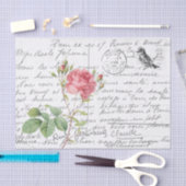 Papier Mousseline Carte postale Rose d'oiseaux Pink (Artisanat)
