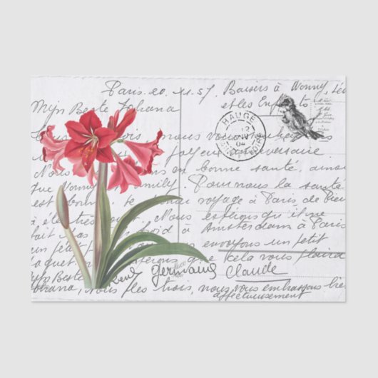 Papier Mousseline Carte postale Vintage Amaryllis Bird (Recto)