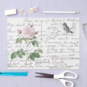 Papier Mousseline Carte postale Vintage Blush Rose Bird (Artisanat)