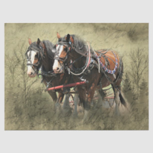 Papier Mousseline Carte postale Vintage Clydesdale