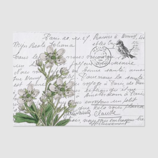 Papier Mousseline Carte postale Vintage d'Oiseau Fleur Blanc (Recto)