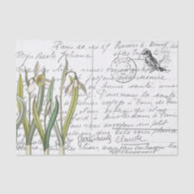 Carte postale Vintage Snowdrop Bird