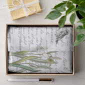 Papier Mousseline Carte postale Vintage Snowdrop Bird (Cadeau)