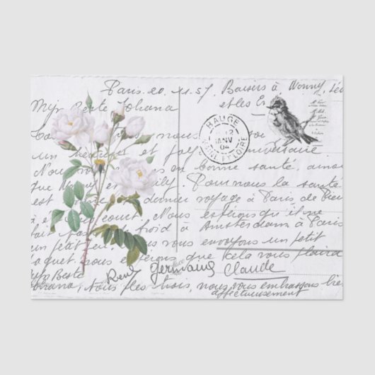 Papier Mousseline Carte postale Vintage White Rose Bird (Recto)