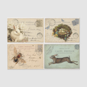 Papier Mousseline Cartes postales Paris