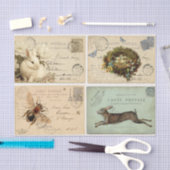 Papier Mousseline Cartes postales Paris (Artisanat)