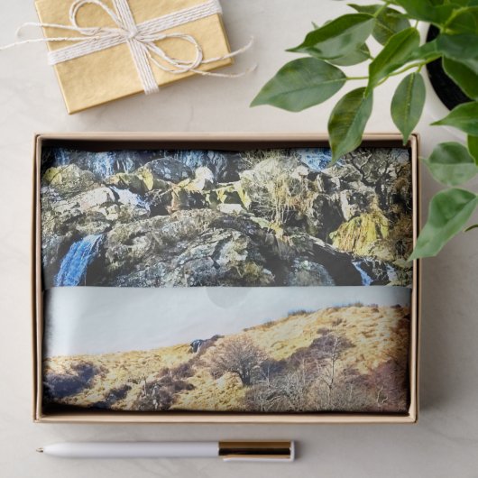 PAPIER MOUSSELINE CASCADE (Cadeau)