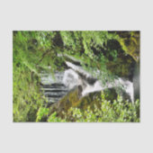 PAPIER MOUSSELINE CASCADE (Recto)