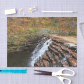 Papier Mousseline Cascade à Laurel Hill State Park II (Artisanat)
