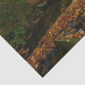 Papier Mousseline Cascade automnale et Creek Pennsylvania Nature (Détail)